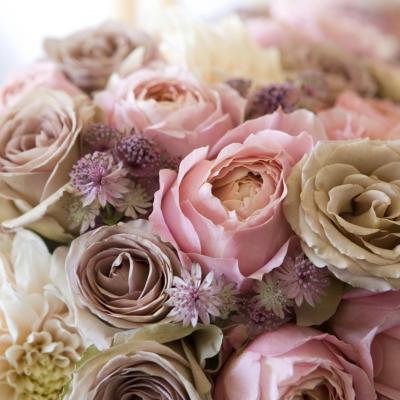 Rose bouquet